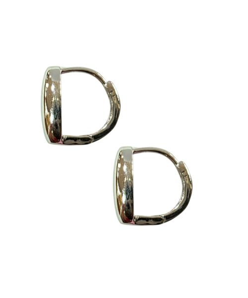 EARRINGS SILVER