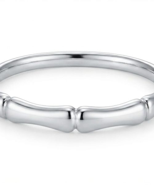 BRACELET STAINLESS STEEL